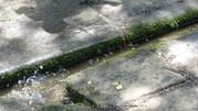 DSC00126