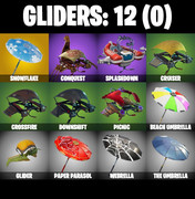 gliders-comp