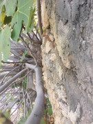 01BA89FD-AC6C-4715-ACBF-FDFCE962FBD4