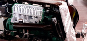 173998393-302991697907459-5292219418755939609-n.jpg