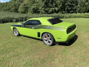 Challenger-backyard111.jpg