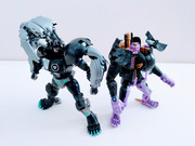 MP-48-Dark-Amber-Leo-Prime-06