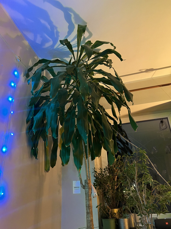 50420B57-A022-460F-9C45-21211E3E4D13