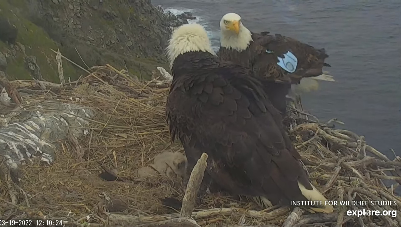 6E6ACD30-4FED-4E8C-956C-E13EE62FB01F