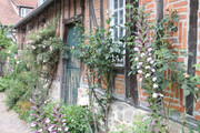 IMG-4216.jpg