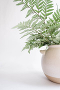 imagegraphic-7