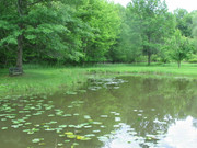 [Image: IMG-9840.jpg]