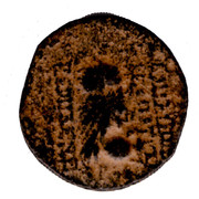 Seleucida de Cleopatra Thea Smg-1268b