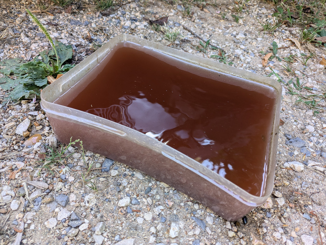 PXL_20240801_080454131