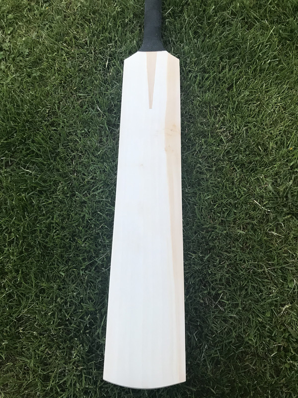 C762EAA8-723B-458F-94E7-35ADCC1CC312