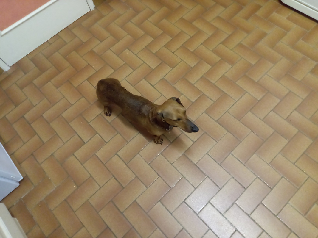 [Image: IMG-2024-04-07-06-12-16-464.jpg]