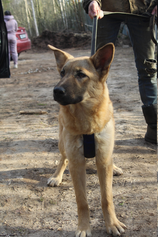 SlIgL3p3S84Qsq1Z502v1pLfeWQi2F6ZzvNFc796kgi3U5SJ0rKmXBhb3cGVSEOM7PVscW6zFu6ee3ETqUHLbhDU