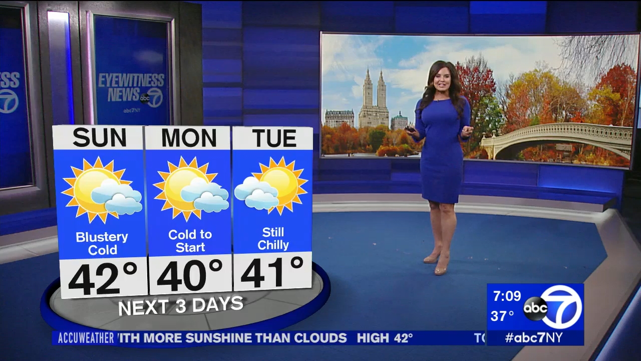 12.06 - 11.00.00 - Eyewitness News Sunday Morning..ts_snapshot_10.36.715