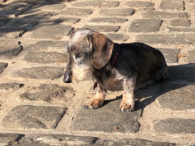 [Image: IMG-6503.jpg]