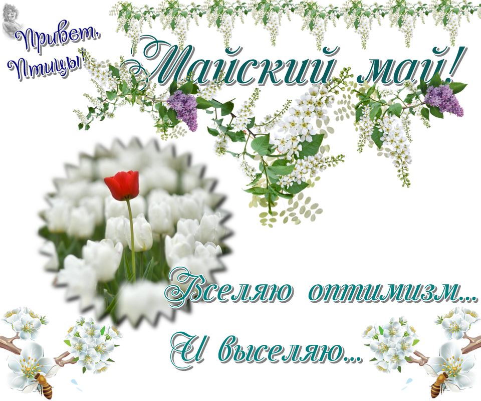 https://i.postimg.cc/5jcwtcD1/06-05.png
