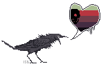 crow2