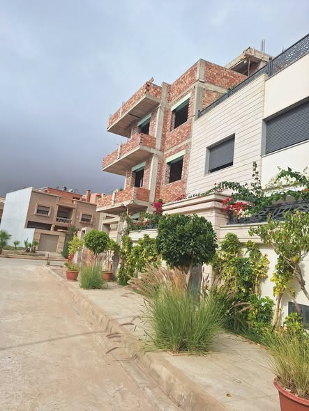 566186452-1445808853929128-4695793208888087763-n