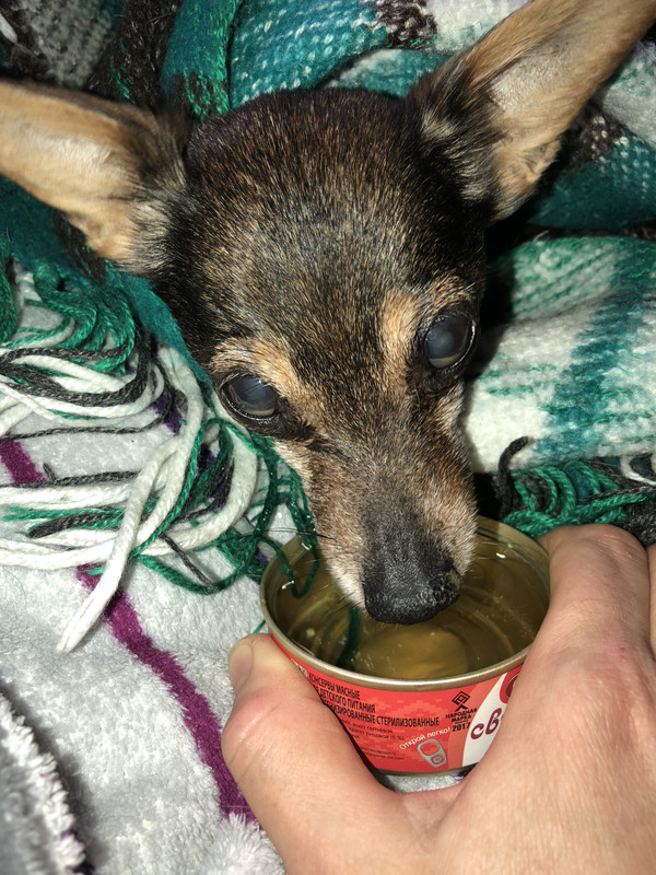 95FAF1A5-C08F-4B34-B60A-7A9C512812EA