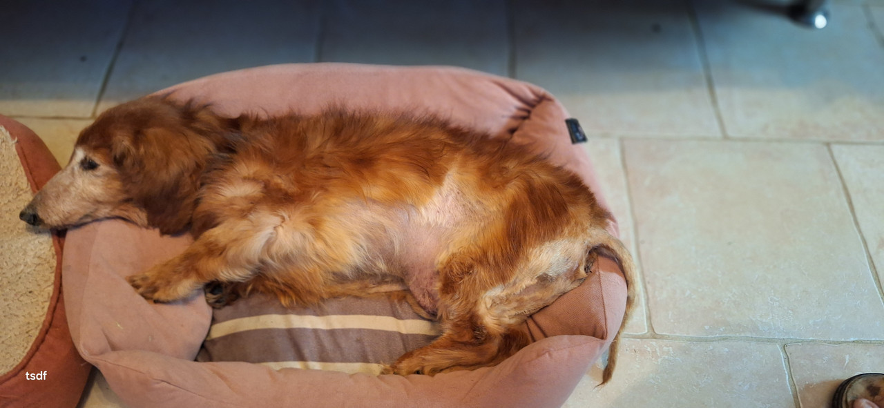 [Image: 20250330-115134.jpg]