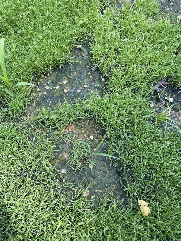 AA5166FB-A4B8-4E83-88E4-C43DAFFF0D9A