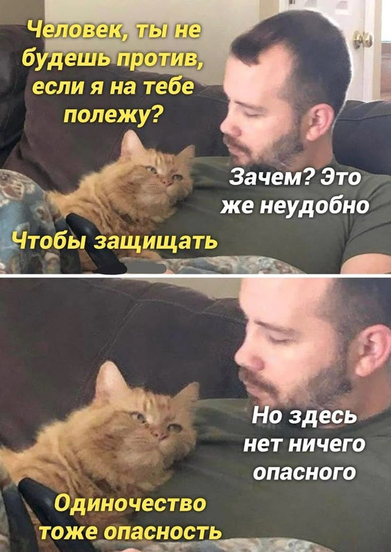 135286ba00ce276d9239eed7b90282a8.jpg