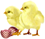 0-1c0a2f-a2e68214-orig