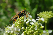 IMG-20190424-145103