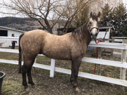 968C9E5F-92B3-4062-90C3-E0975BDEBAD9