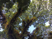 BBG&B14GuwahatiGatewayToTheNortheast - 2