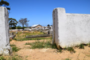 DSC-0056-(2)