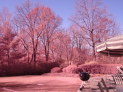 [Image: DSC-P150-Visible-and-IR.jpg]