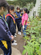 275d3b6f-2ce8-4e01-8e79-aa772dbff68b