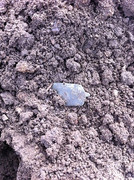 IMG-3662