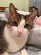 file.php_avatar=22945_1501535770