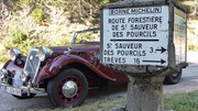 P1010766.jpg
