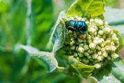 IMG-20190424-130311