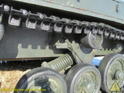 IMG-3438