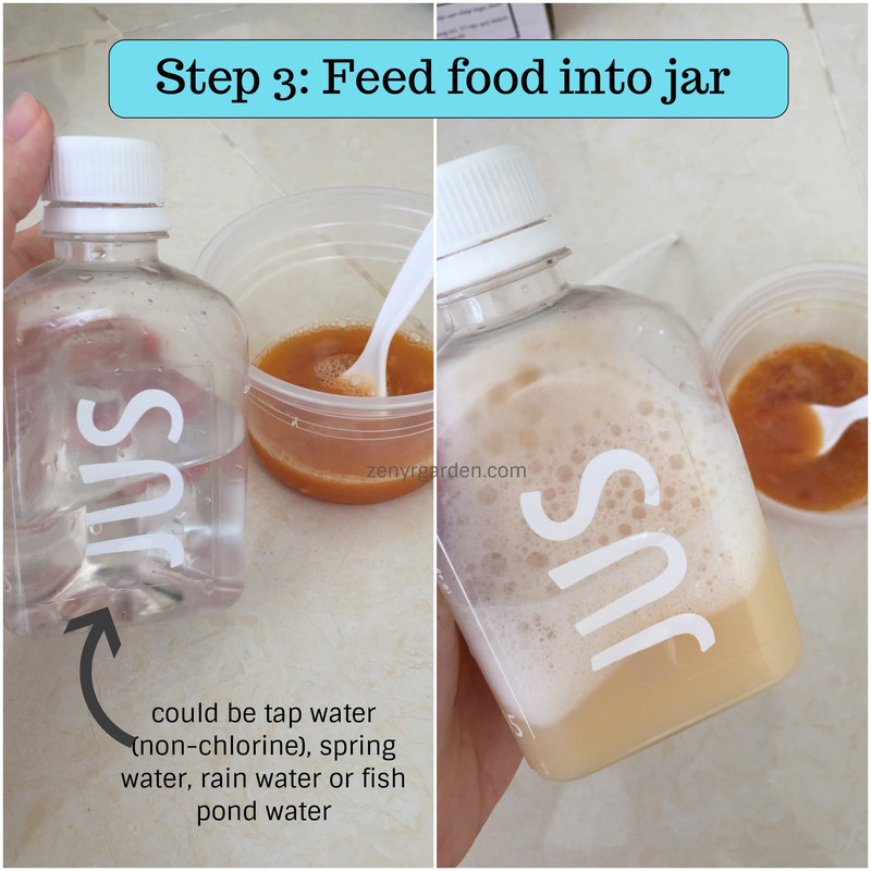 psb-step-03-feed-food-into-jar.jpg