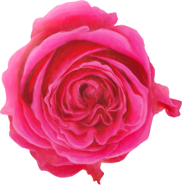 Rose09