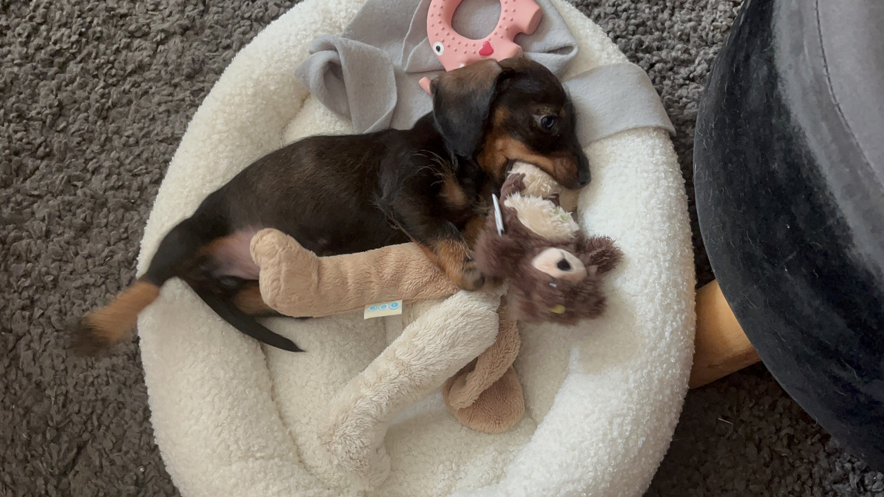 [Image: IMG-0334.jpg]