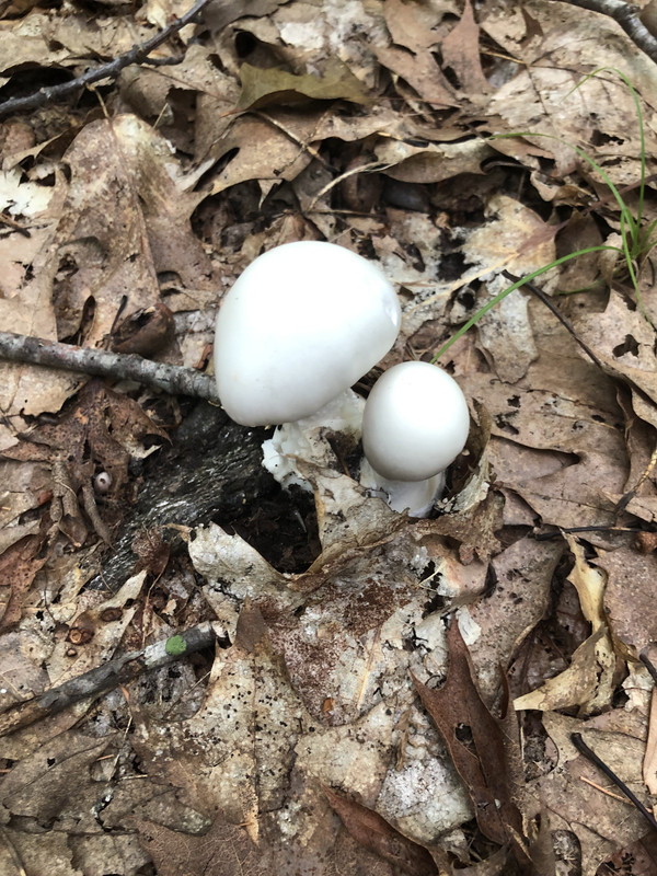 D5A5CD1C-4F4E-460D-BA92-CF72E9FF55E2