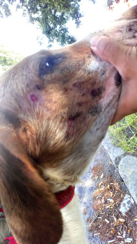 фридаморда3