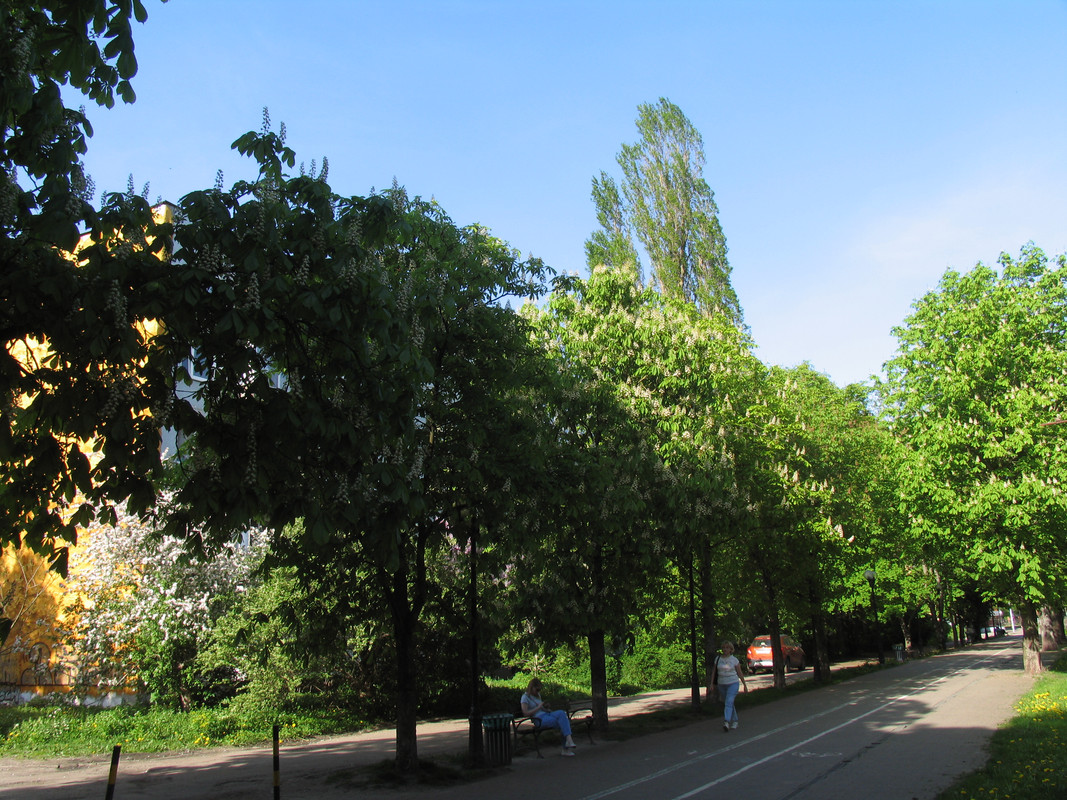 30 апреля 2024 003