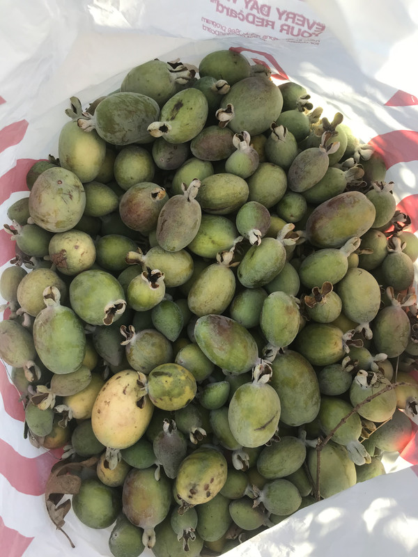 15854EBD-1E8D-4CCD-8ABD-B71886DC6AD9