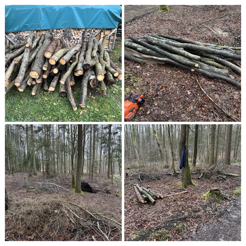 C544CCAA-F896-4ADA-8D89-097619832AA9-COLLAGE