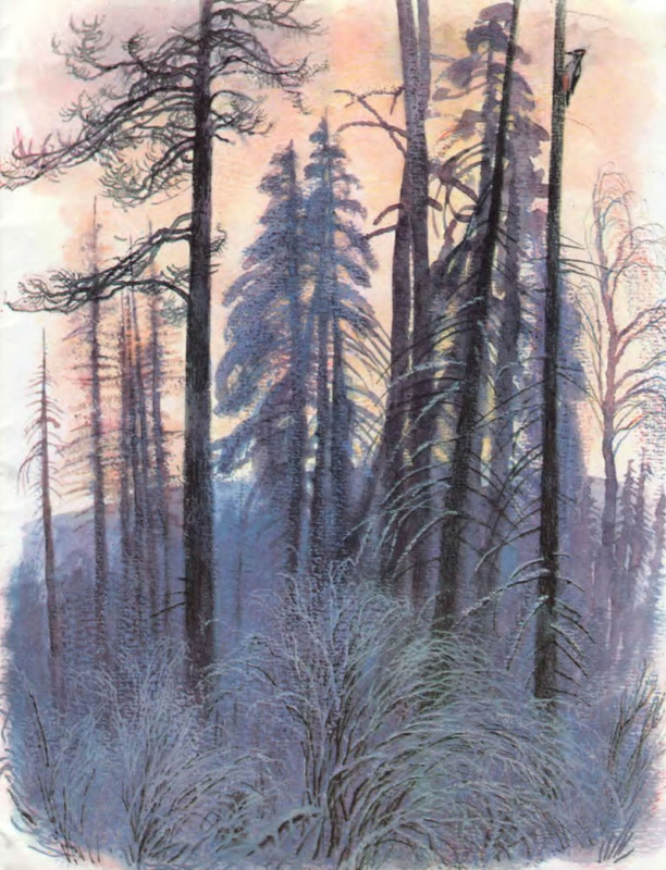p0005