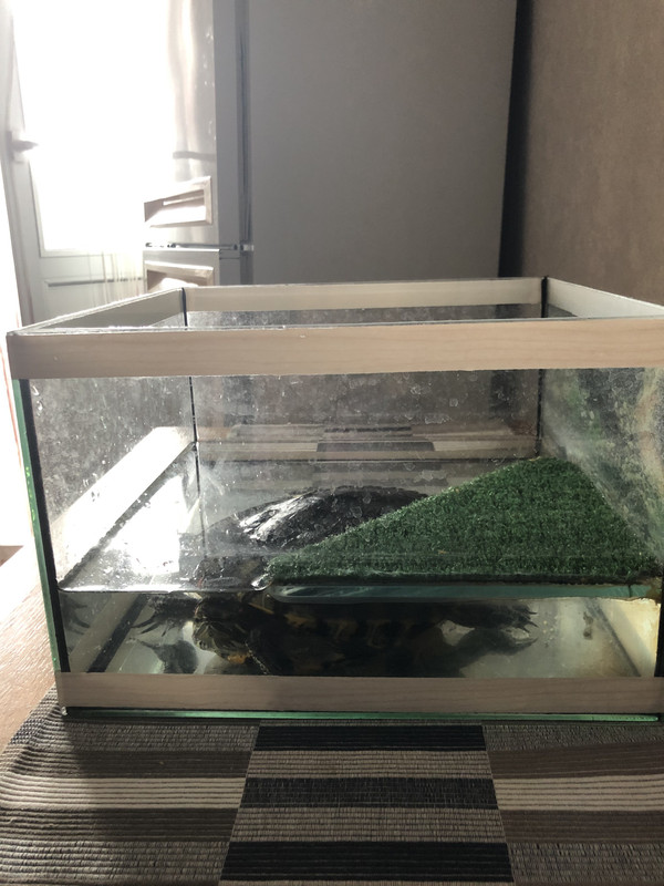 61434CF8-AD34-41F7-9067-0ED852A5A0ED