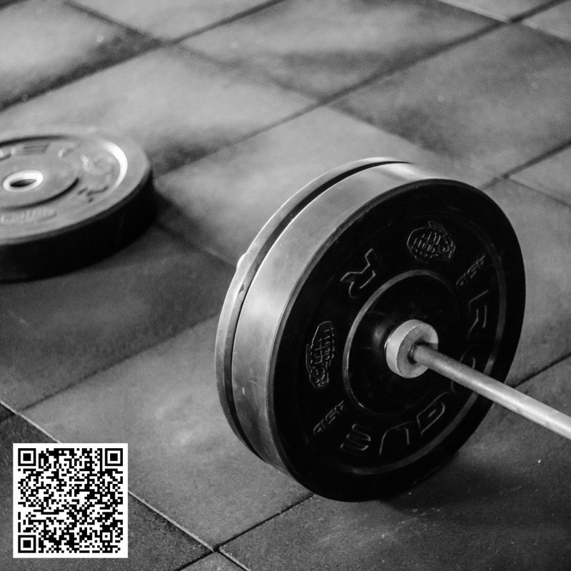 Auction Gym Equipment Is It Worth It for Your Fitness Business