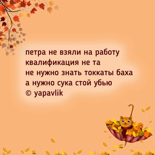 FB IMG 1793079446772