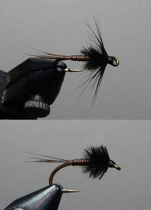 Pig-Nymph-Black-Top-1080-down.jpg Pig-Nymph-Black-Top-1080-down.jpg